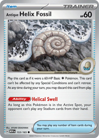 153/165 - Antique Helix Fossil - Common