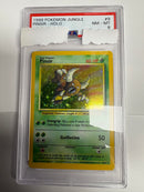 Pinsir-Holo - 1999 Pokemon Jungle