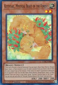 CYAC-EN096 - Kittytail, Mystical Beast of the Forest - Super Rare 1st Edition - NM