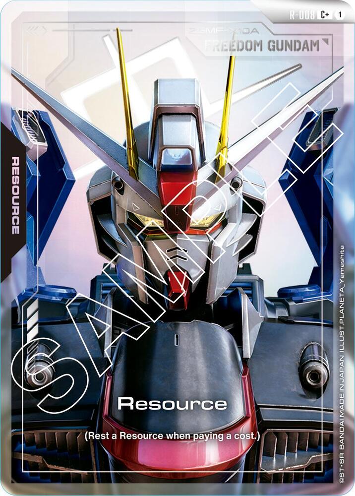Resource [R-008] (C+)