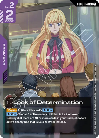 Look of Determination [GD03-114] (R)