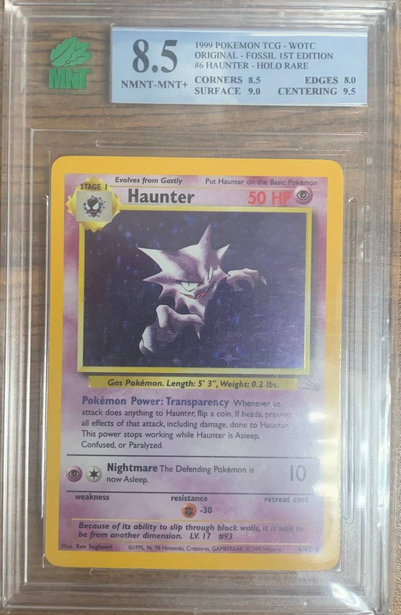Haunter - Fossil