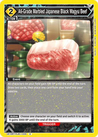 A6-Grade Marbled Japanese Black Wagyu Beef [UE12BT/KJ8-1-034] (C)