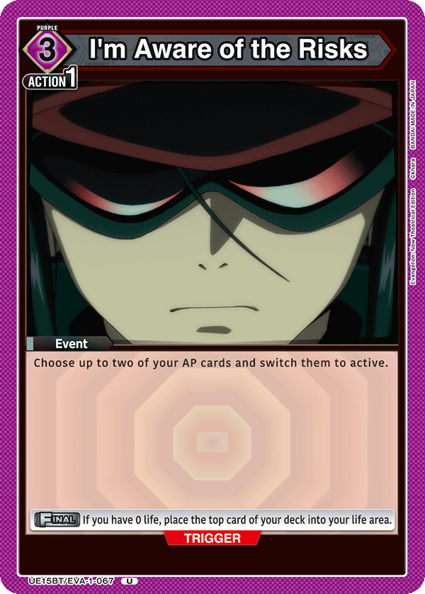 I'm Aware of the Risks [UE15BT/EVA-1-067] (U)