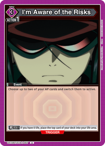 I'm Aware of the Risks [UE15BT/EVA-1-067] (U)