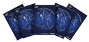 Upper Deck - Neopets Battledome: Shoryu - Card Sleeves