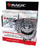 MTG - DUNGEONS & DRAGONS: ADVENTURES IN THE FORGOTTEN REALMS - ENGLISH COLLECTOR BOOSTER BOX